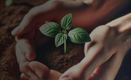 Sustainable Practices Sustainable Practices