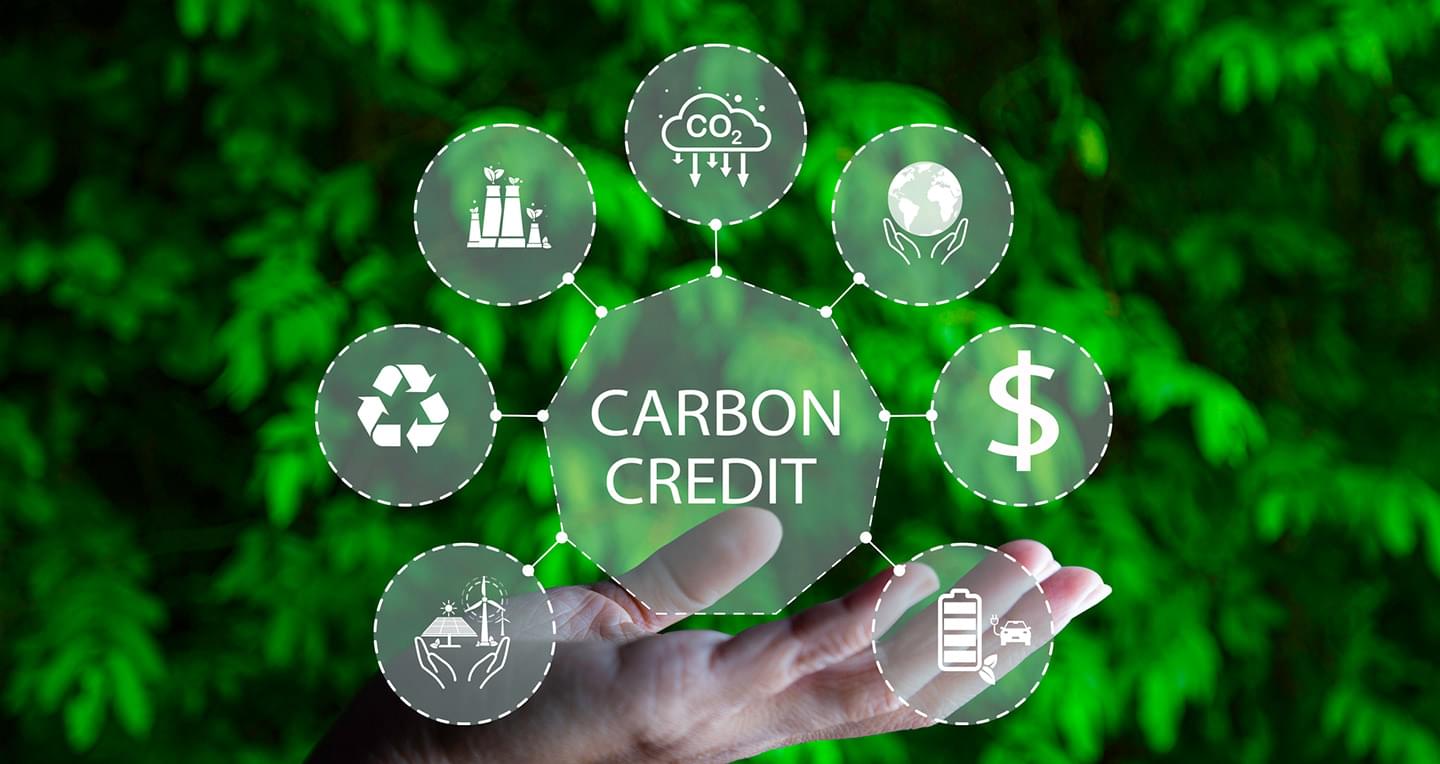 Capgemini Moves Toward Permanent Carbon Removal in Deal with Charm